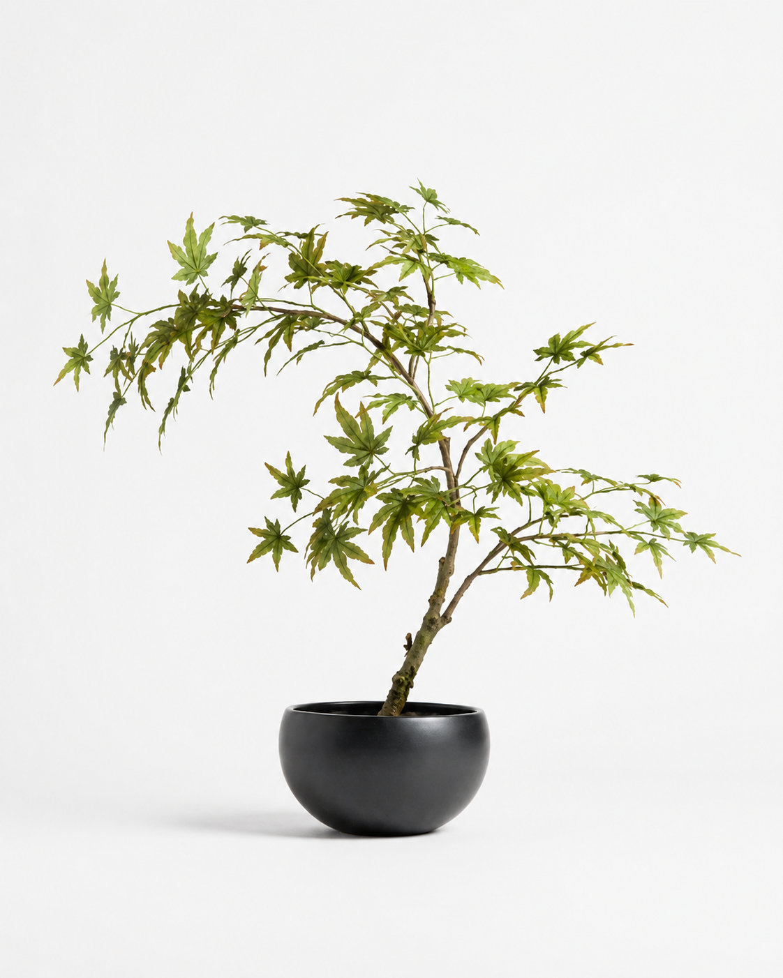 Faux Japanese Maple in a matte black hand-turned vessel