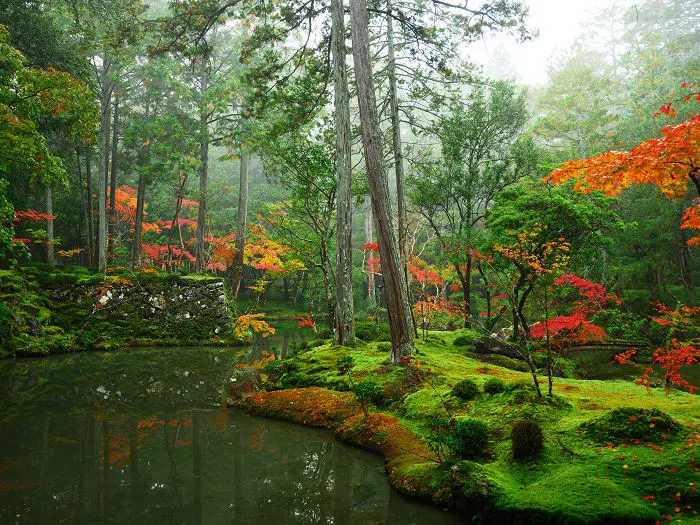 Saihō-ji moss garden